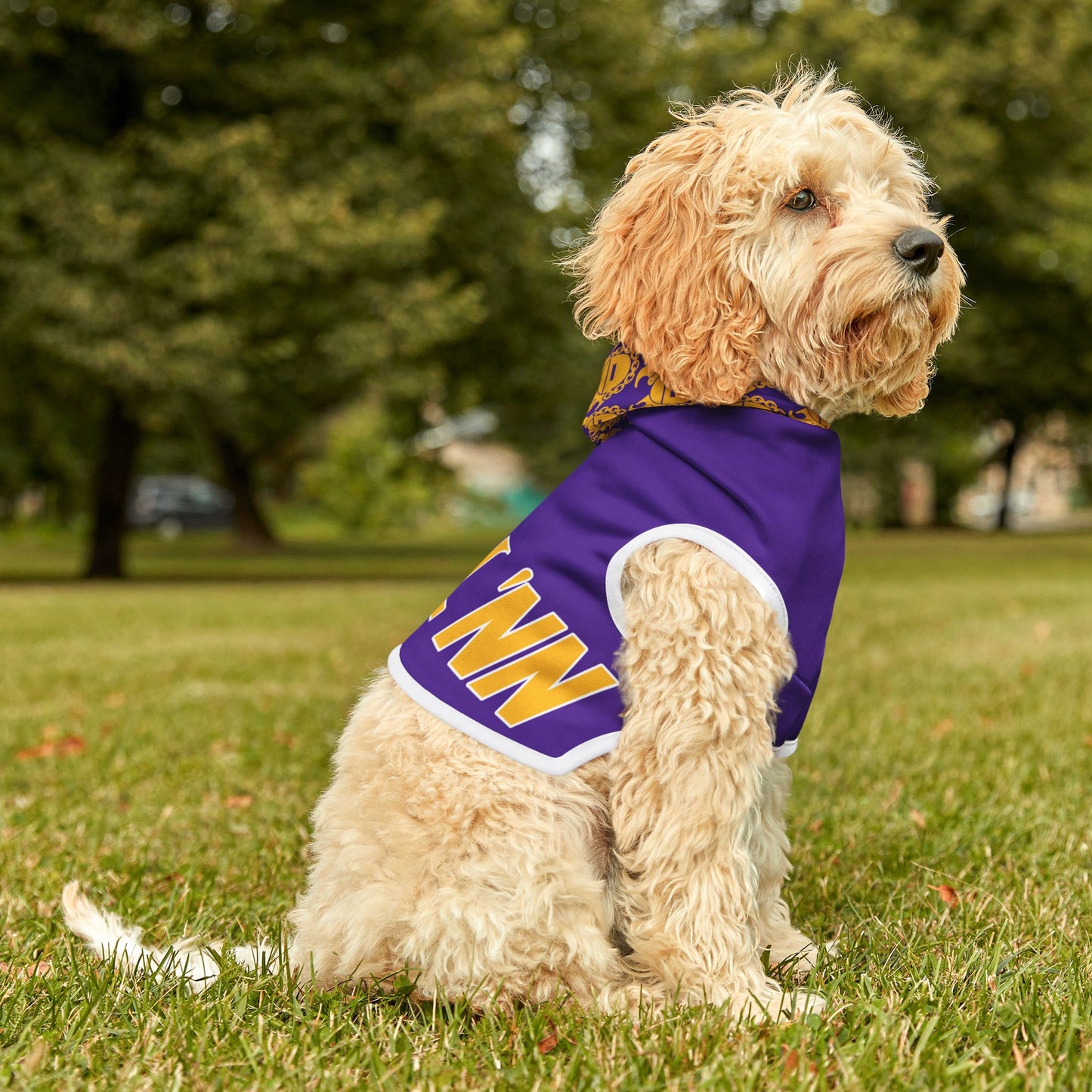 Pet Hoodie - SKOLL'NN